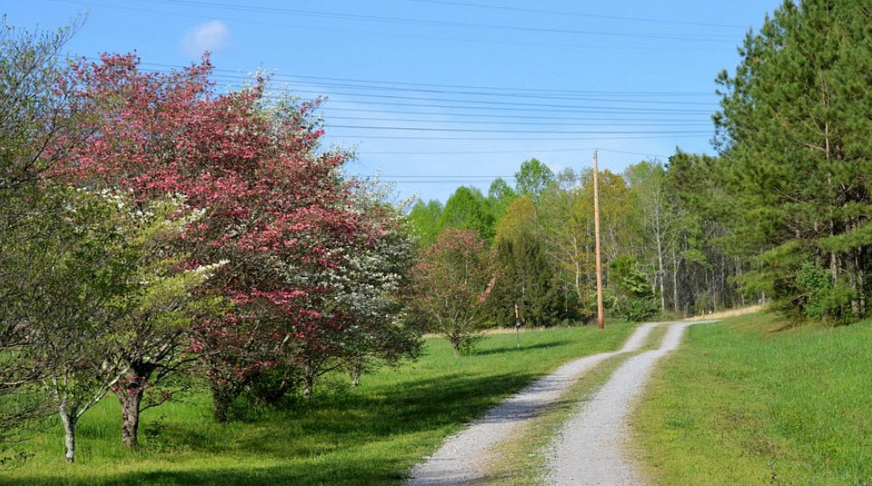 University of Tennessee Arboretum, Oak Ridge, United States